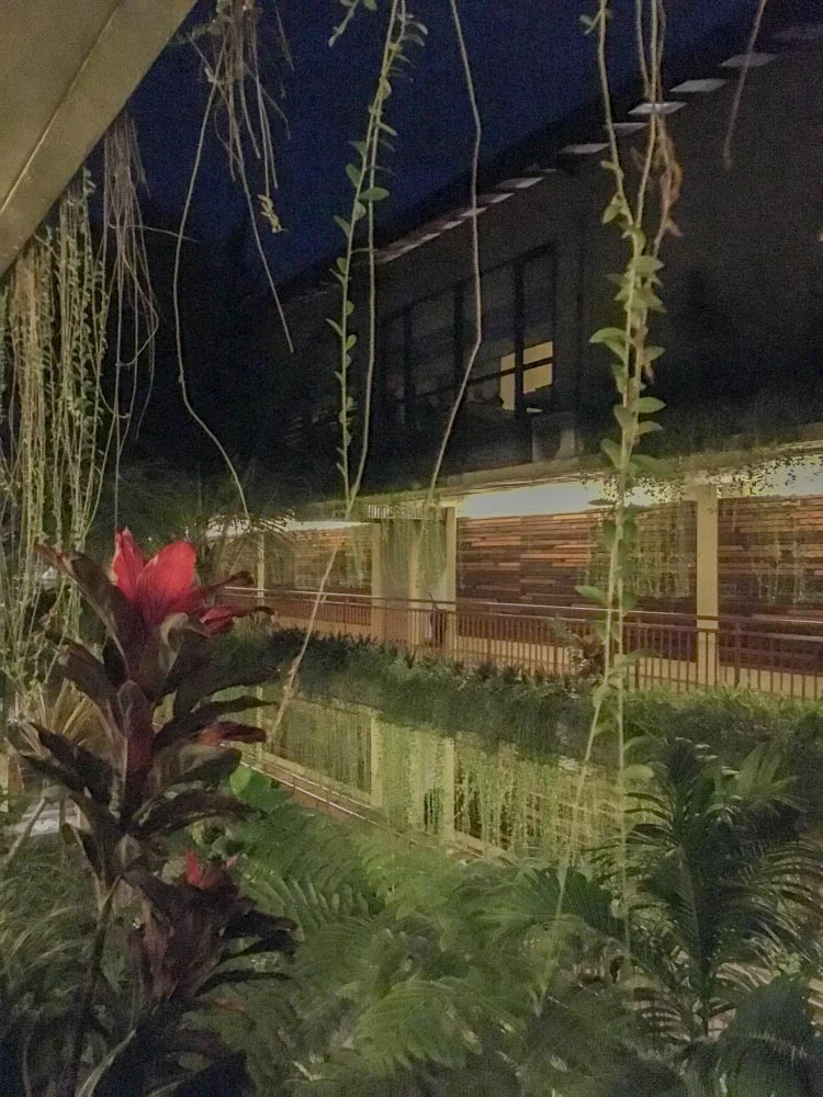 IMG_9408.JPG?type=w966