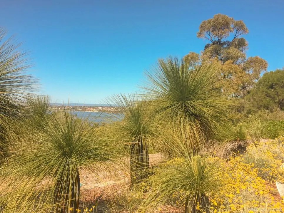 ZYXUI33LkJ2Wrparn3R4SVPjpsWVyg41tu32kbjul8Nt1S46ufNTLWaZR6LsHNl5AdM8Dou_GGz-lvQ79MjoJOn393InebThIVzhcu-p2s5XVMJ7peTAzOicRUxHjGfe5CkR1AzUzpOY7ibLhg