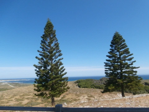 %C5%A9%B1%E2%BA%AF%C8%AF_PB110694.JPG?type=w1