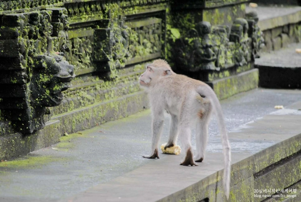 SE-45a69aef-3b23-414d-b1b5-74a793257d0a.jpg?type=w966