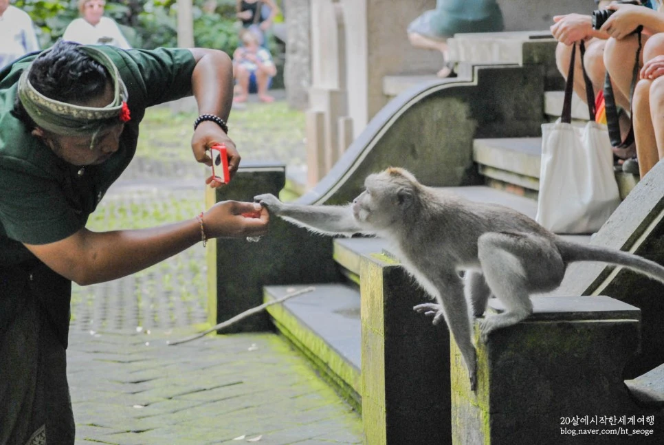 SE-b8cb2f2a-ac7a-4ce0-aad8-f85424672bc8.jpg?type=w966