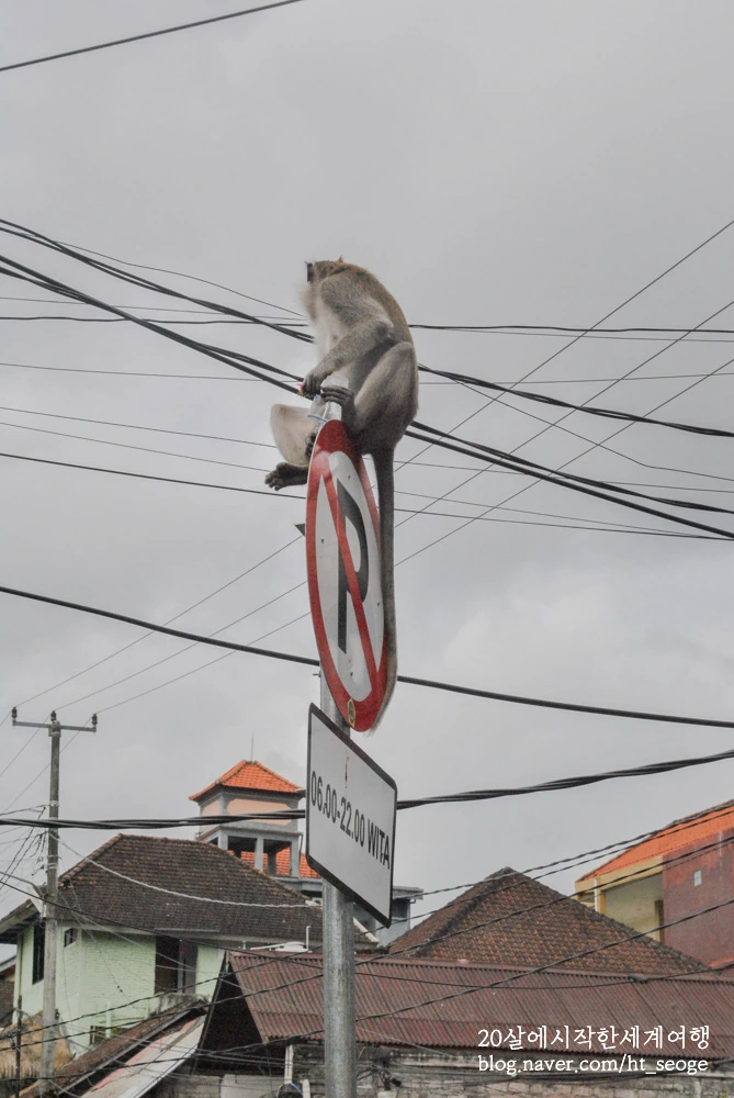 SE-f9585941-0683-48c5-86b3-4892c7476c01.jpg?type=w966