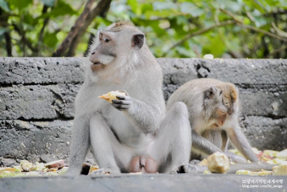 SE-2a798e4b-0818-4296-b2d5-dffc4b4e3c59.jpg?type=w966