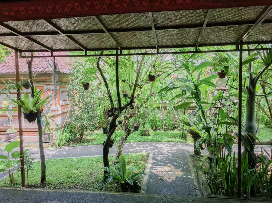 IMG_9305.JPG?type=w966