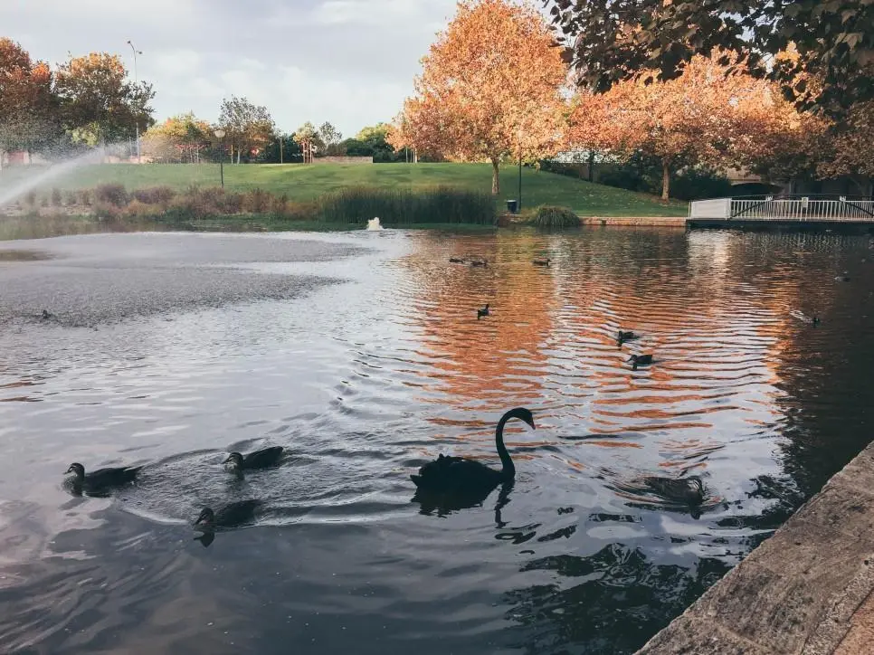 AXcG2S-eYAwlUnMuPs0uOc7WfjYpvQkpc9U2tUvmej3CEtkL83t1rbuyMDkjydeGDv28gnYFQey3AYOJ7BMf4bPhckNN6OmQSGi2c1tzIqQdsCuCaL88J21Ye7bDFGv4Srwa9tZUXHuyFgegfQ