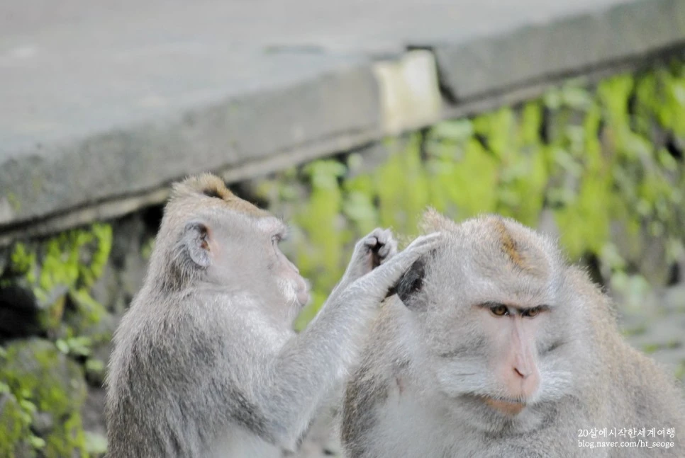 SE-dfea901e-7e7c-46f6-a64d-953135bc54d9.jpg?type=w966