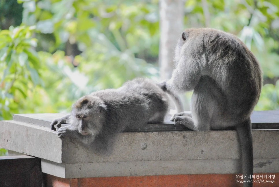 SE-0dd5b418-7c20-4ef4-a32e-20bd98349607.jpg?type=w966