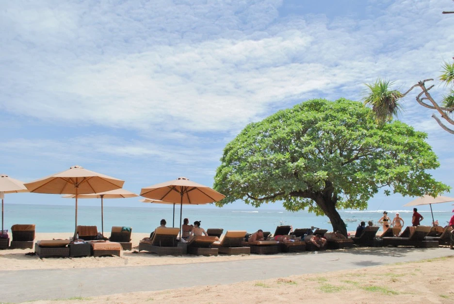 rDSC_0006.JPG?type=w1