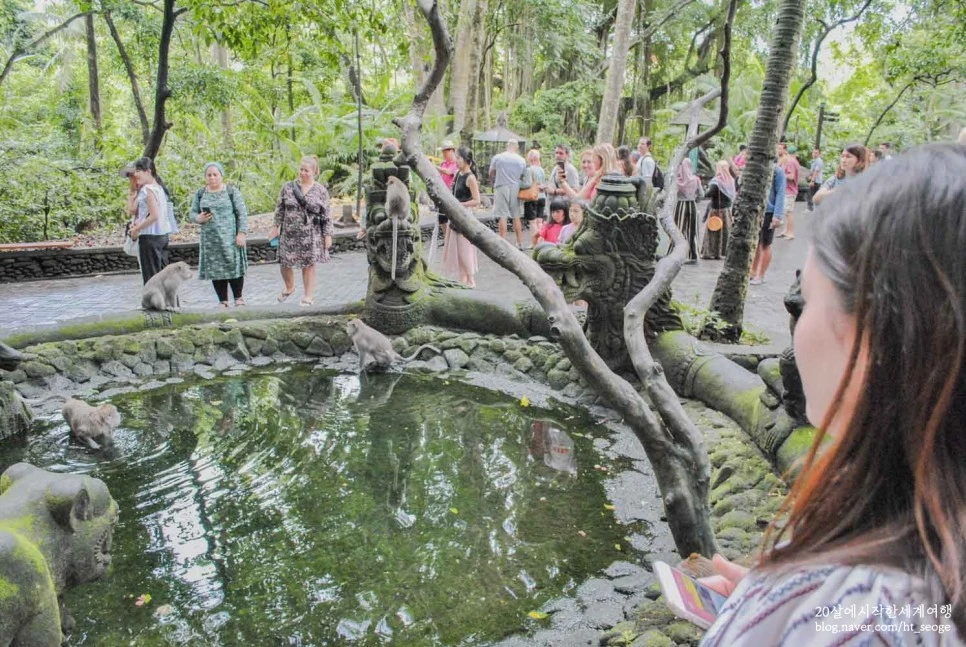 SE-fb2c40b8-d139-4461-8922-e1753f7b14b4.jpg?type=w966