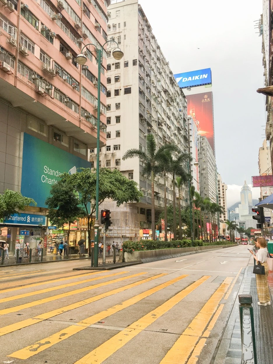 IMG_8255.JPG?type=w1