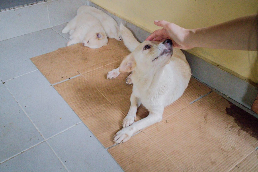 IMG_0004.JPG?type=w966