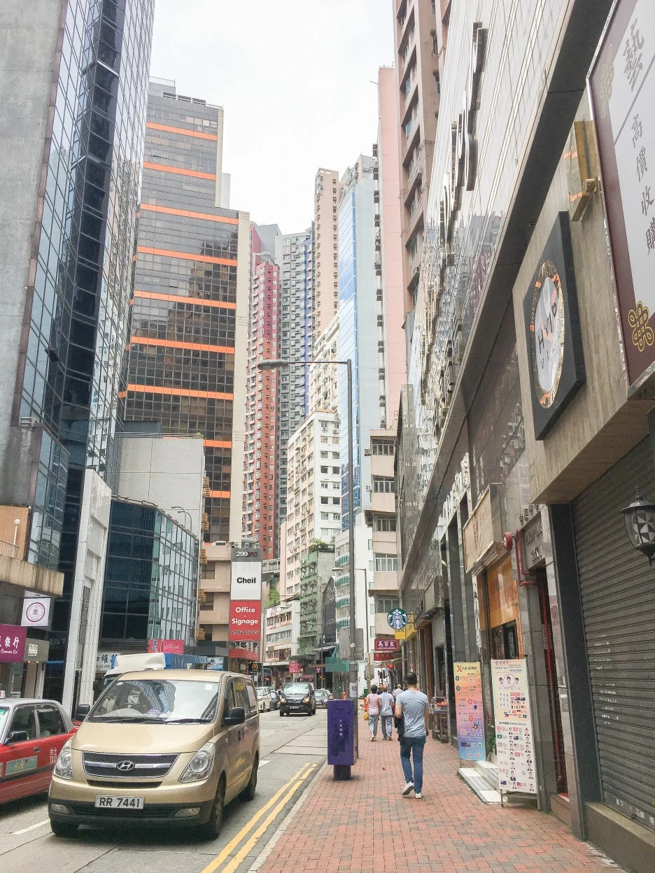 IMG_8109.JPG?type=w1