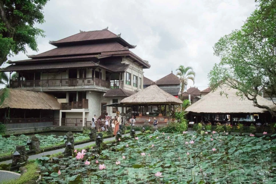 IMG_0014.JPG?type=w966