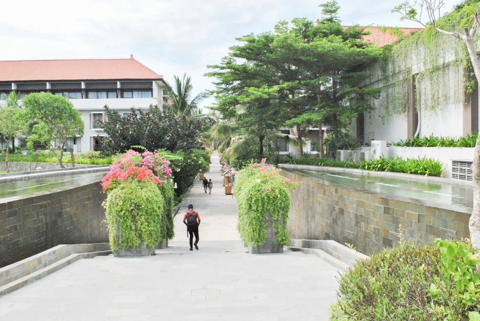 rDSC_0036.JPG?type=w1