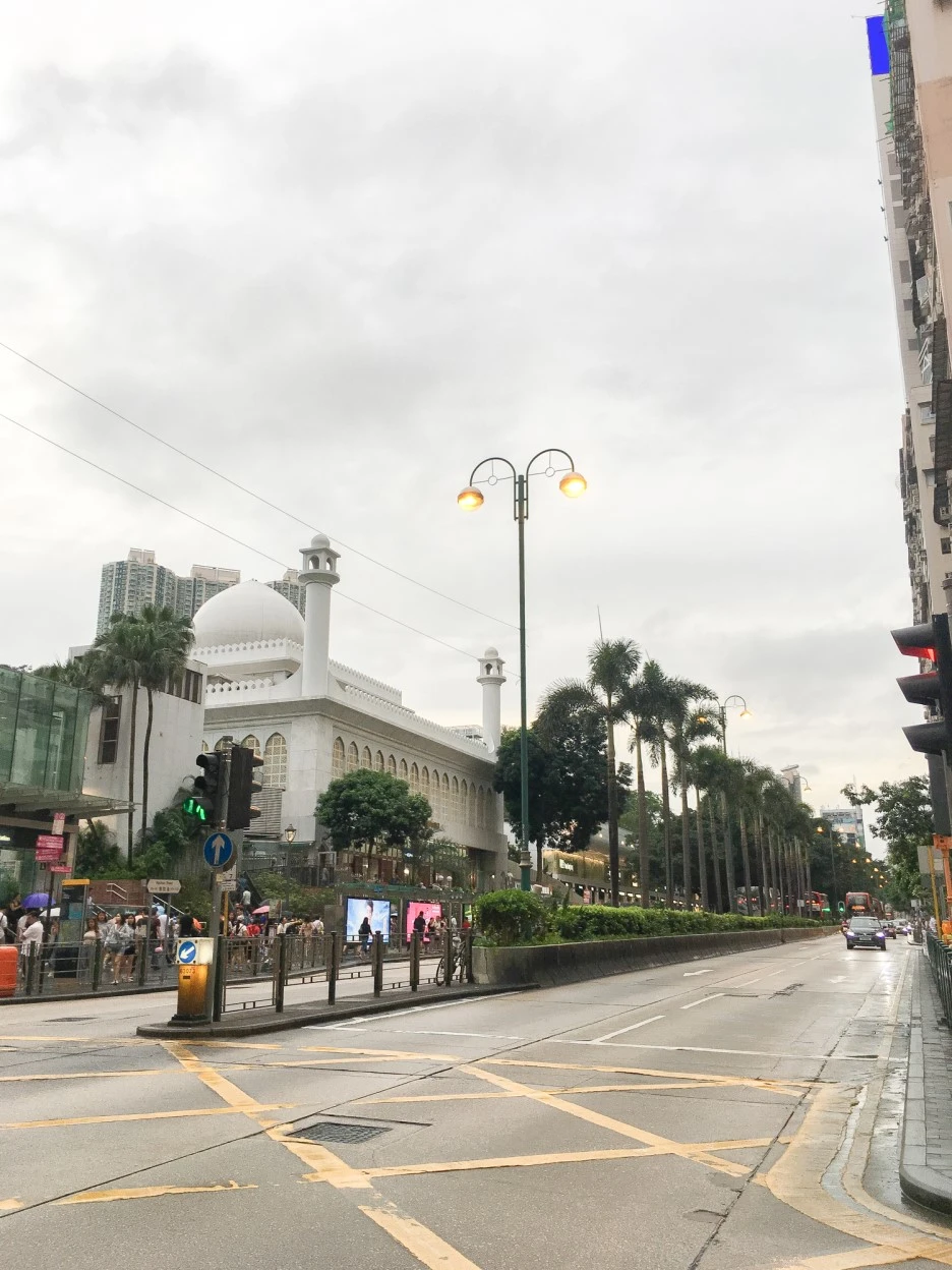 IMG_8265.JPG?type=w1