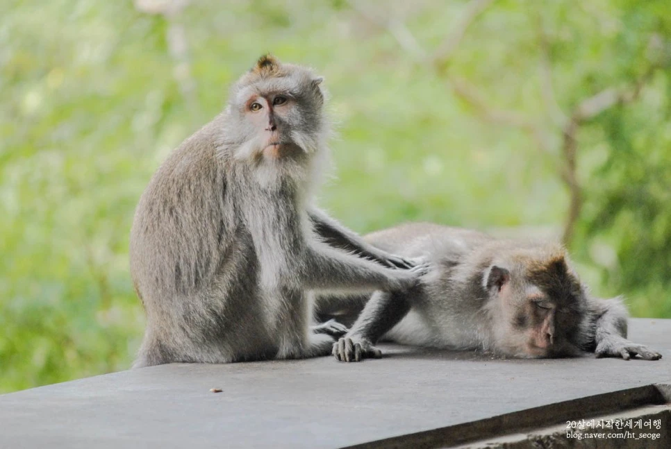 SE-32a645c6-5165-4d1e-9f2d-bcc4c972c0ac.jpg?type=w966