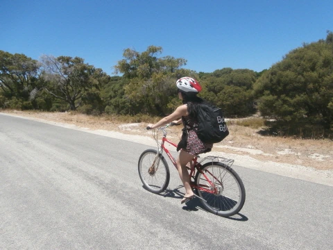 %C5%A9%B1%E2%BA%AF%C8%AF_PB110528.JPG?type=w1