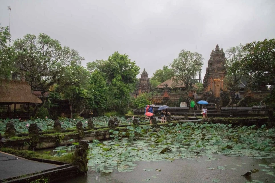 IMG_0465.JPG?type=w966