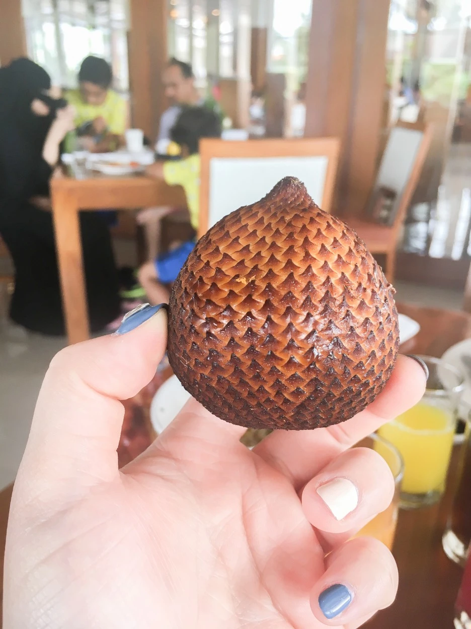 IMG_9555.JPG?type=w1