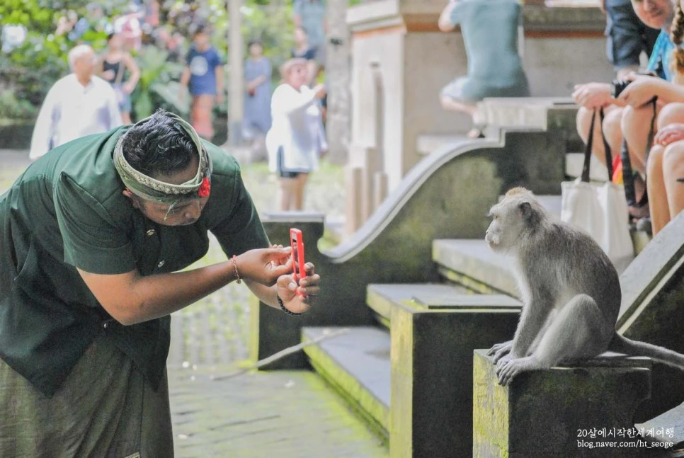 SE-117d0d40-fa39-44c3-b266-516dbf0bc3a7.jpg?type=w966