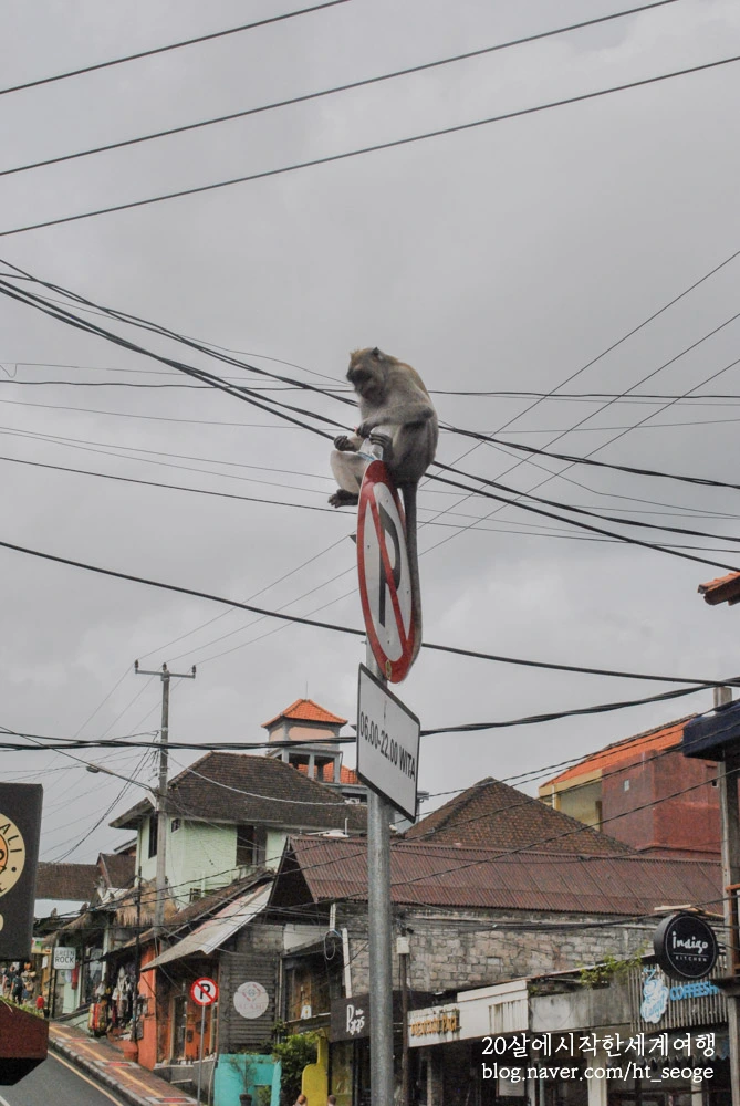 SE-5e03a373-e6af-4cff-a404-28a8a91ea2ba.jpg?type=w966