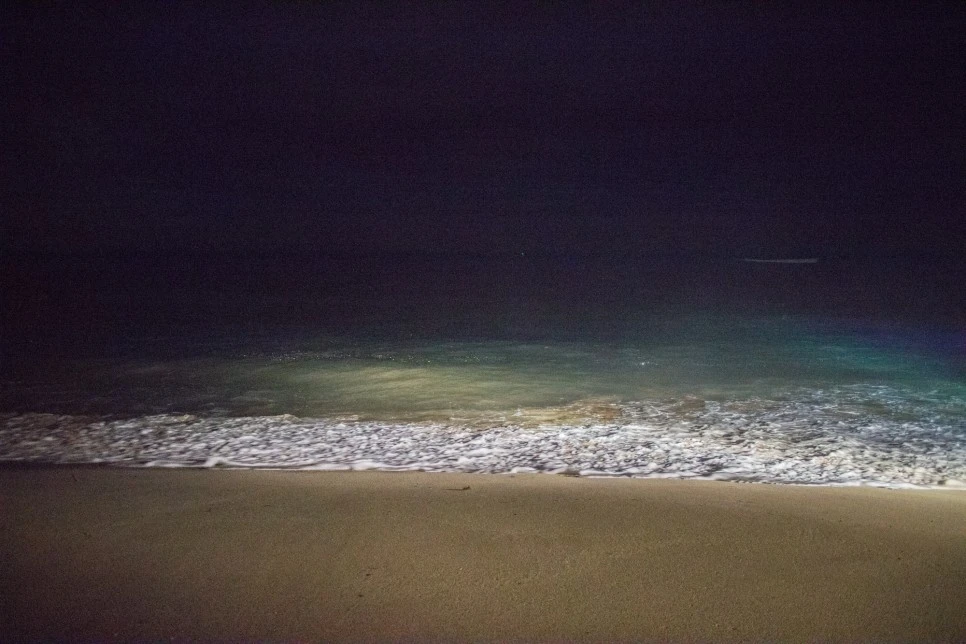 SE-9f5e39cc-7bfc-4abc-b14f-c42bfe4f3f73.jpg?type=w966