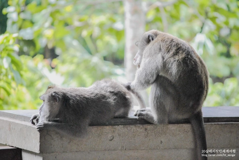 SE-ad1a8479-66c6-457a-9a79-ef06ca39efac.jpg?type=w966