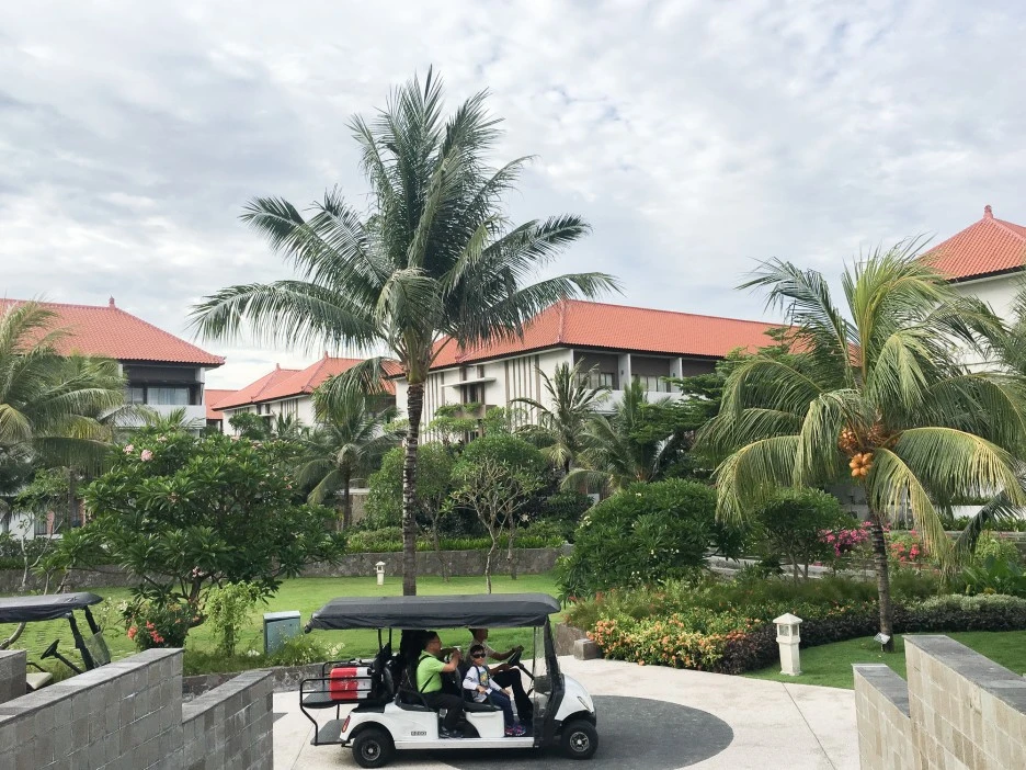 IMG_9674.JPG?type=w1