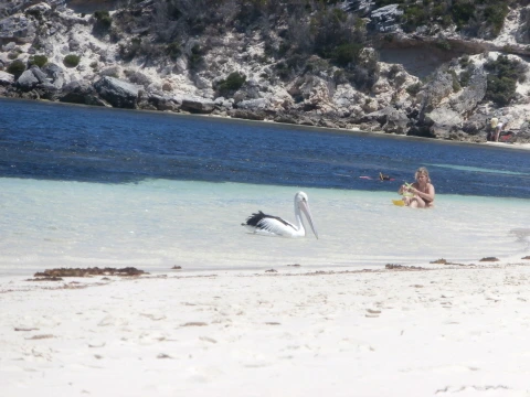 %C5%A9%B1%E2%BA%AF%C8%AF_PB110600.JPG?type=w1