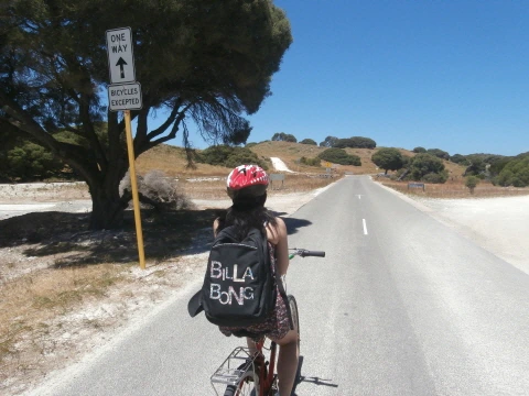 %C5%A9%B1%E2%BA%AF%C8%AF_PB110533.JPG?type=w1