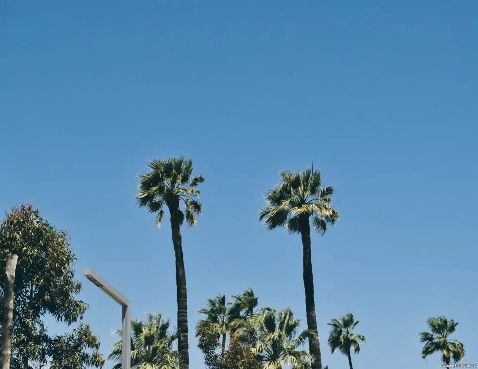 thCY8OnZ-8a1xj5lr-T0l6iT_sTid_tH94epsYwRo7f2UFagiQYpksyV5b_afM3P0N2chOmEHB-4_oGGekJifggkHYfXOrTSiH2BIUxaPbYGZrqT3rtLtlqwgiTtqJAif5q0b5xzt03KM5Q5UQ