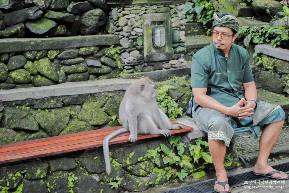 SE-4a903b64-a904-45a7-8f8c-760b99d3d756.jpg?type=w966