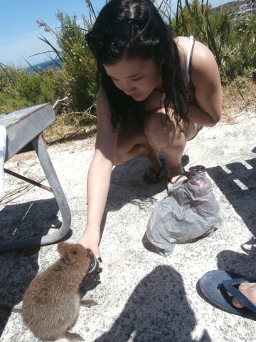 %C5%A9%B1%E2%BA%AF%C8%AF_PB110662.JPG?type=w1