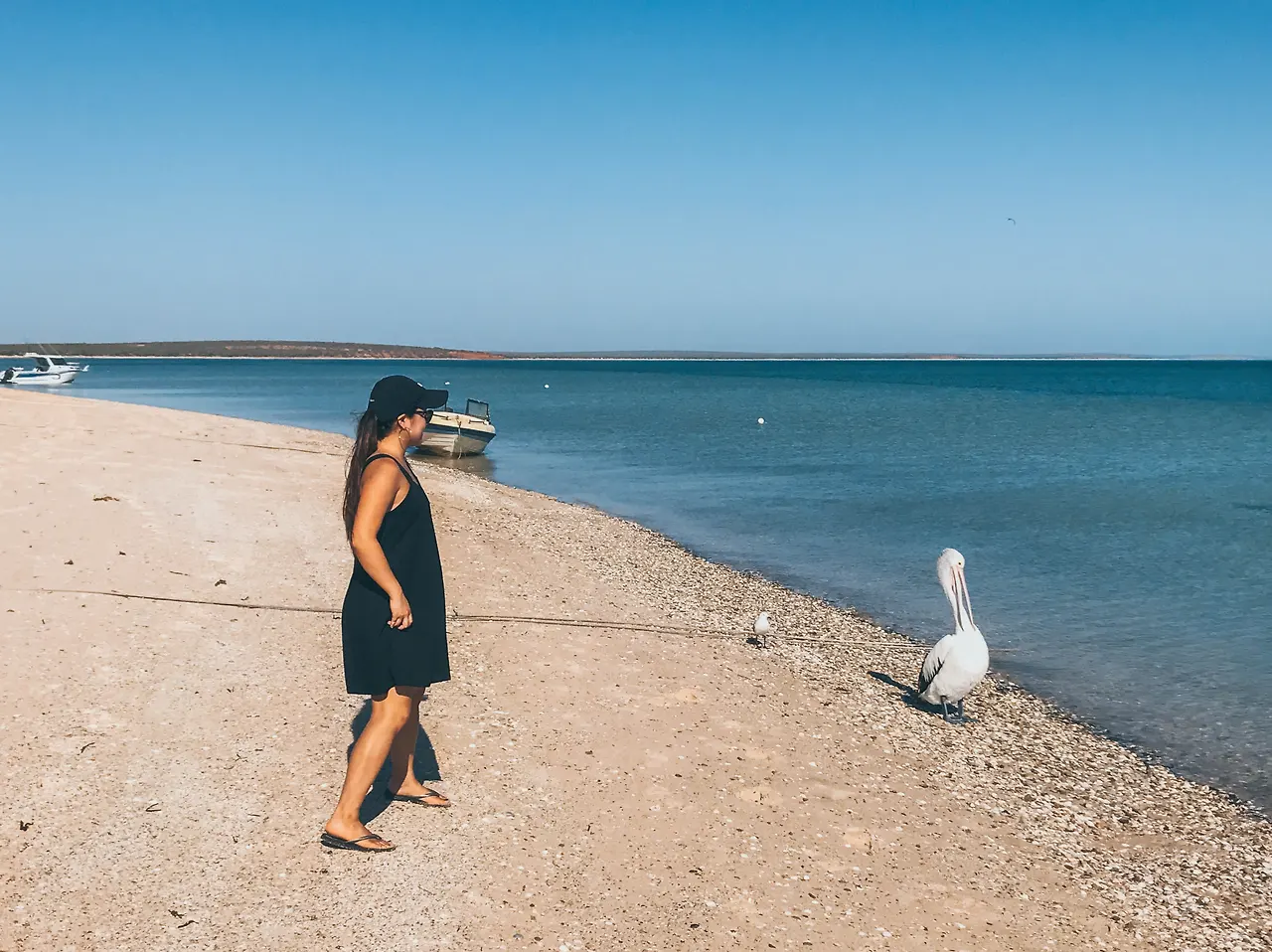 FullSizeRender 2.JPG