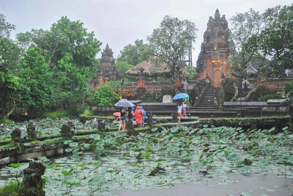 DSC_0001.JPG?type=w966