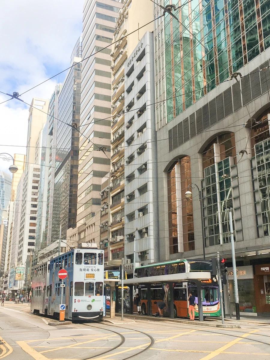 IMG_8125.JPG?type=w1