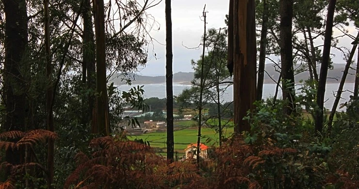 IMG_1408.jpg?type=w740