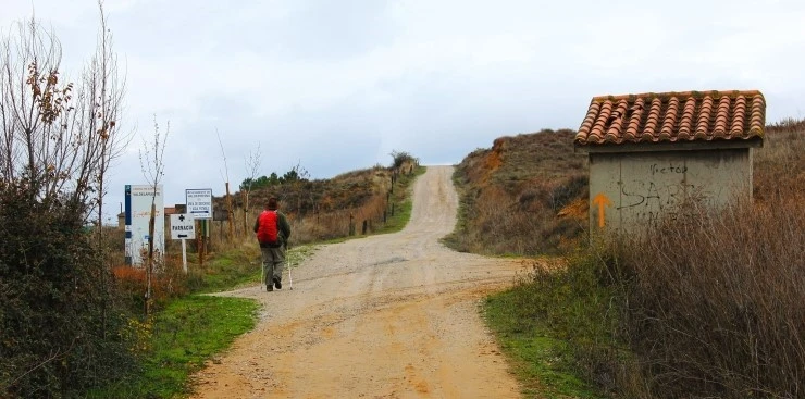 IMG_0736.jpg?type=w740