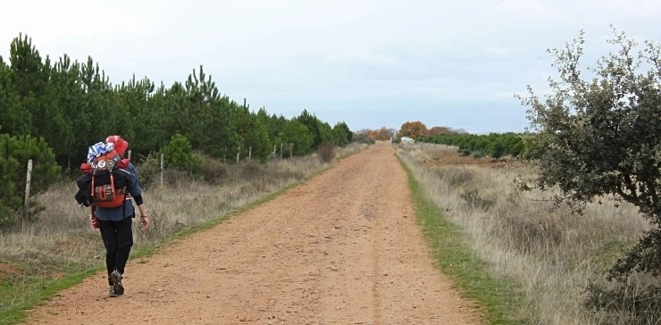 IMG_0774.jpg?type=w740