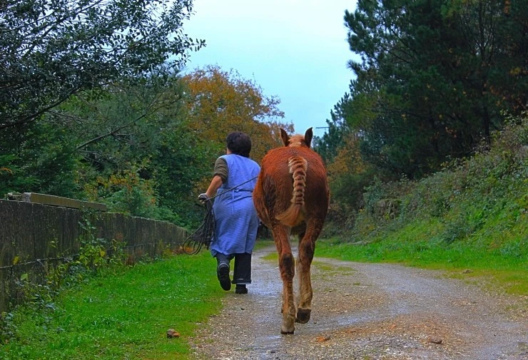 IMG_1404.jpg?type=w740