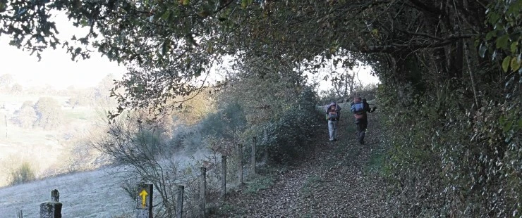 IMG_1163.jpg?type=w740