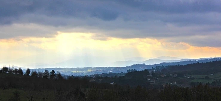 IMG_1331.jpg?type=w740