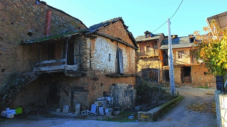 IMG_0951.jpg?type=w740