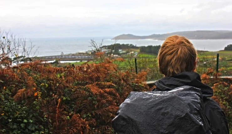 IMG_1410.jpg?type=w740