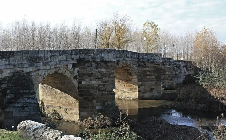 IMG_0684.jpg?type=w740