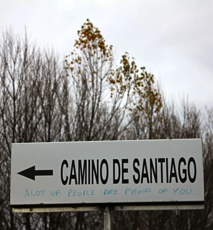 IMG_0766.jpg?type=w740