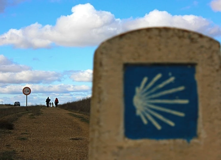 IMG_0614.jpg?type=w740