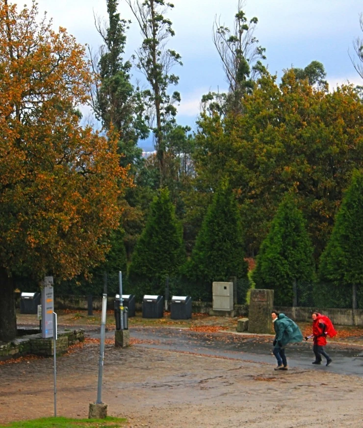 IMG_1329.jpg?type=w740