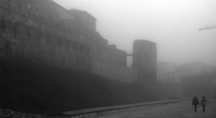 IMG_0922.jpg?type=w740