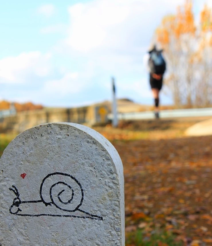 IMG_0652.jpg?type=w740